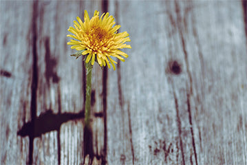 Mindset: Beyond the Power of ‘Yet’